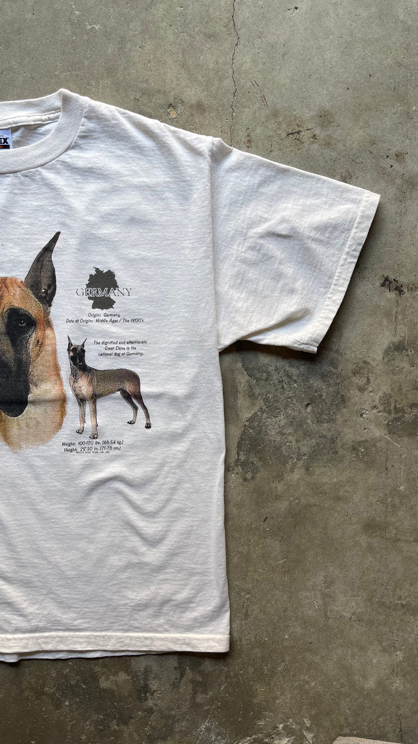 1990S THE GREAT DANE DOG WHITE TEE - L