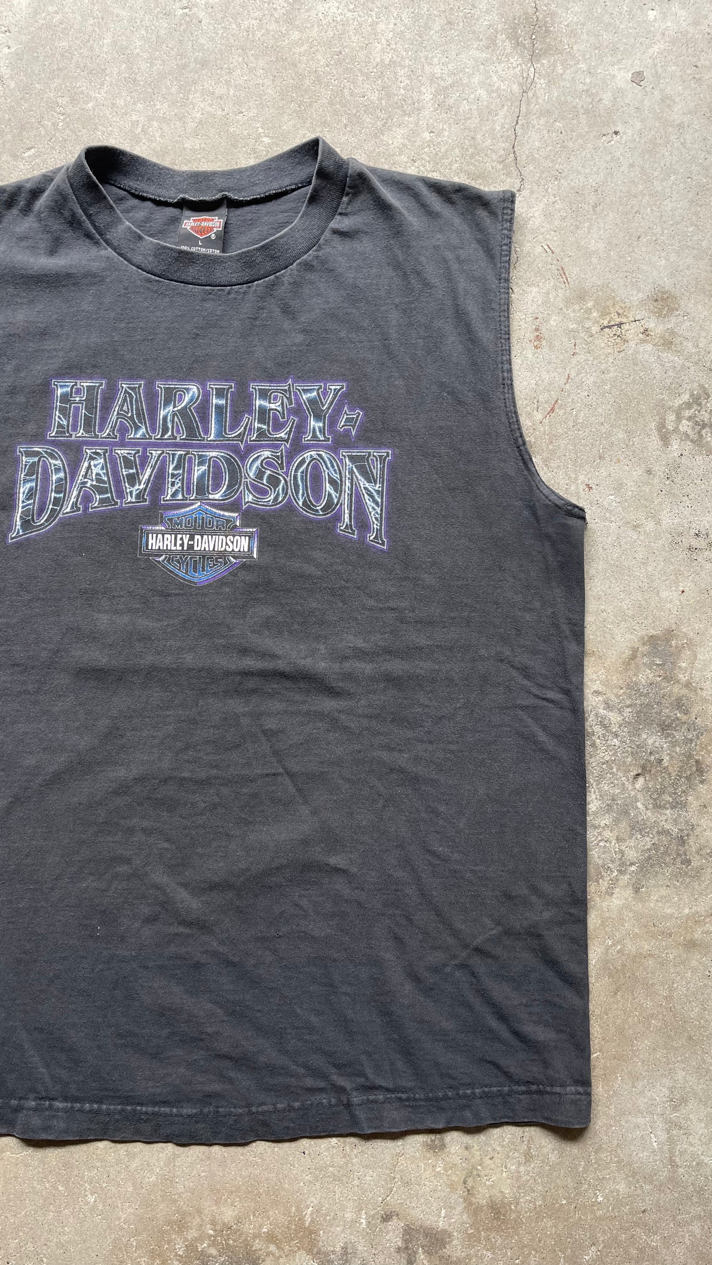 2000S HARLEY DAVIDONS TANK - L