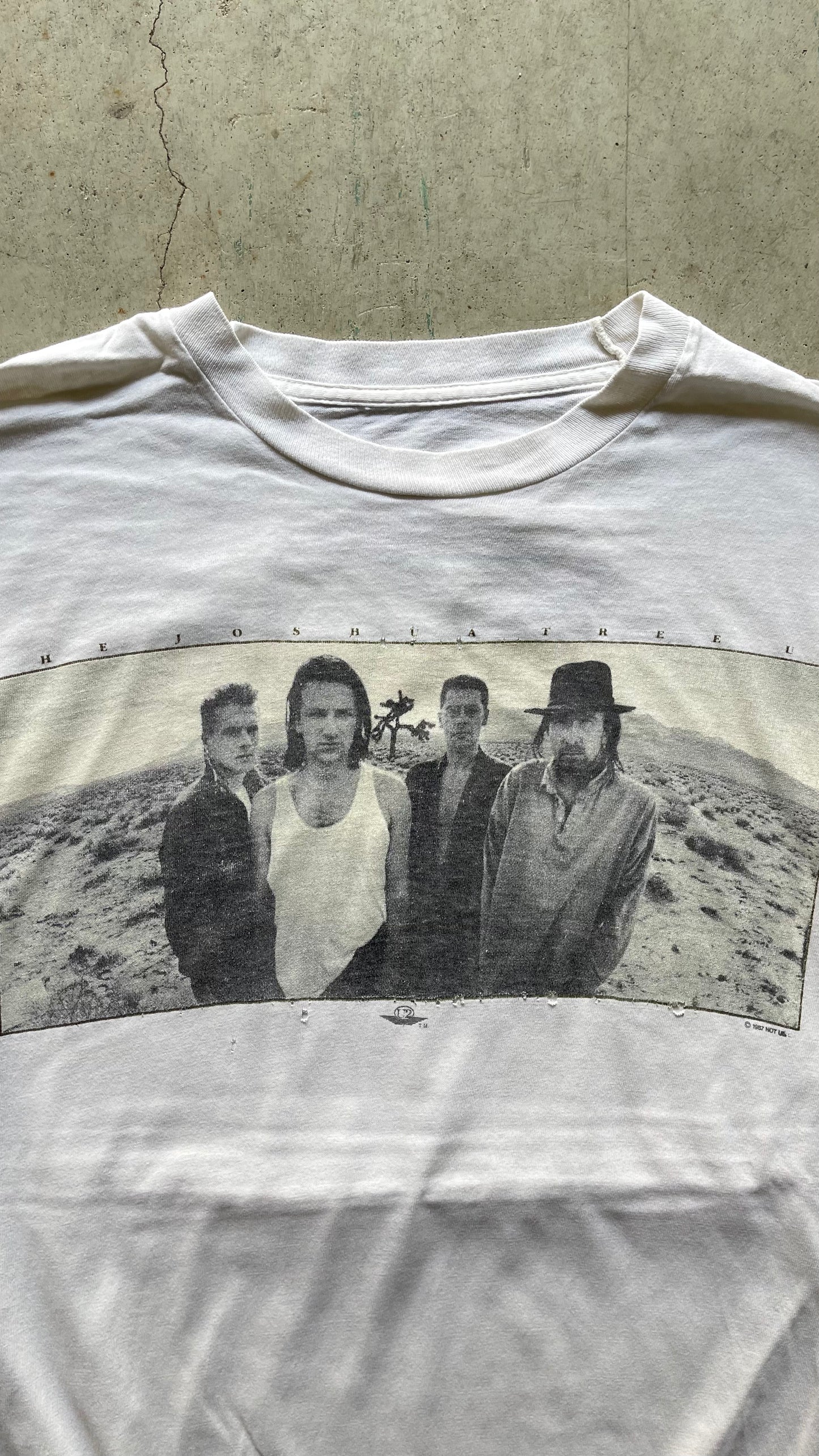 1990S "THE JOSHUA TREE" DISTRESSED TEE - L