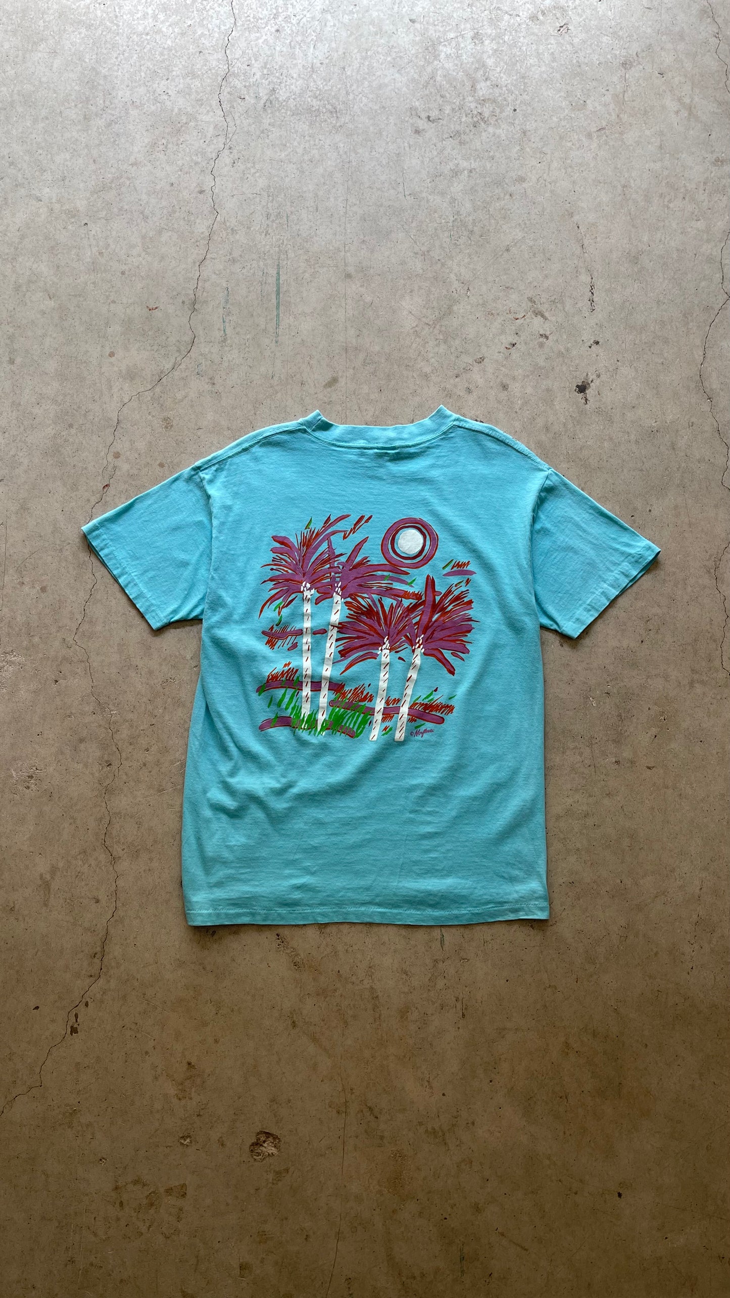 1980S CALIFORNIA PALMSPRINGS BABY BLUE TEE - L